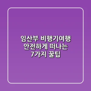 임산부 비행기여행 안전하게 떠나는 7가지 꿀팁