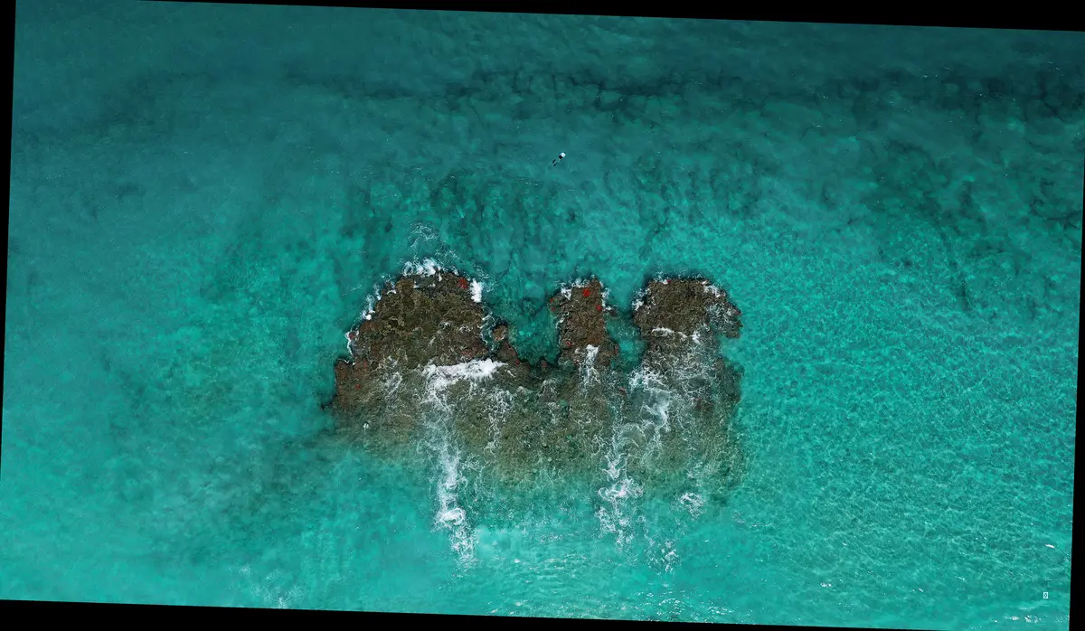 스피드 UP! 리펠로 활용 수영 훈련법 🏊‍♀️