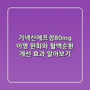 기넥신에프정80mg, 이명 완화와 혈액순환 개선 효과 알아보기