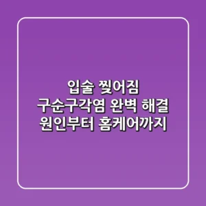 입술 찢어짐, 구순구각염 완벽 해결! 원인부터 홈케어까지