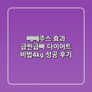 빼빼주스 효과, 급찐급빠 다이어트 비법(-4kg 성공 후기)