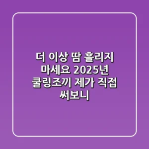 더 이상 땀 흘리지 마세요! 2025년 쿨링조끼, 제가 직접 써보니…