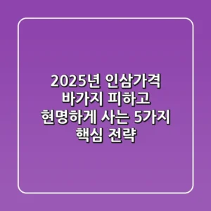 2025년 인삼가격, 바가지 피하고 현명하게 사는 5가지 핵심 전략