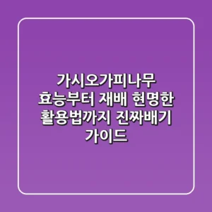 가시오가피나무 효능부터 재배, 현명한 활용법까지: 진짜배기 가이드