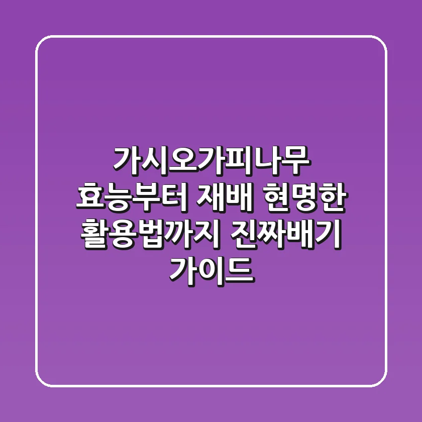 가시오가피나무 효능부터 재배, 현명한 활용법까지: 진짜배기 가이드