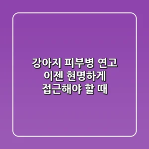 강아지 피부병 연고, 이젠 현명하게 접근해야 할 때!