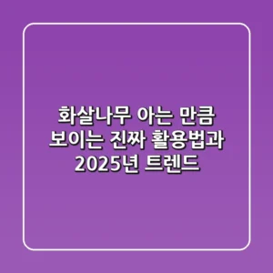 화살나무, 아는 만큼 보이는 진짜 활용법과 2025년 트렌드