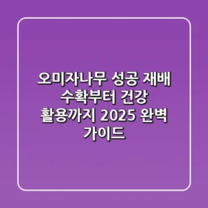 오미자나무 성공 재배, 수확부터 건강 활용까지 2025 완벽 가이드
