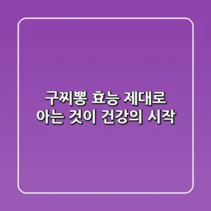구찌뽕 효능, 제대로 아는 것이 건강의 시작!