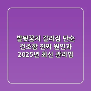발뒷꿈치 갈라짐, 단순 건조함? 진짜 원인과 2025년 최신 관리법!