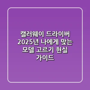 캘러웨이 드라이버, 2025년 나에게 맞는 모델 고르기 현실 가이드