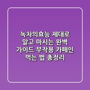 녹차의효능, 제대로 알고 마시는 완벽 가이드 (부작용, 카페인, 먹는 법 총정리)