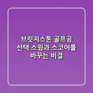 브릿지스톤 골프공 선택, 스윙과 스코어를 바꾸는 비결