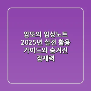 암또의 임상노트: 2025년 실전 활용 가이드와 숨겨진 잠재력