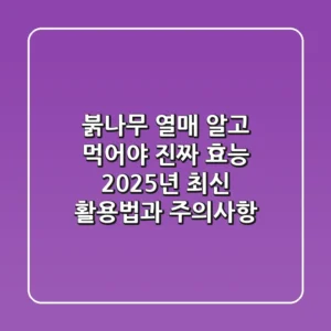 붉나무 열매, 알고 먹어야 진짜 효능! 2025년 최신 활용법과 주의사항