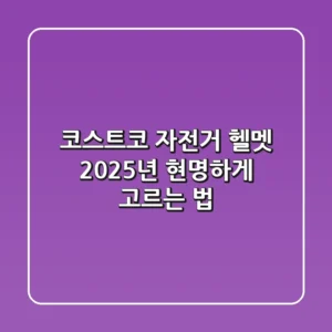 코스트코 자전거 헬멧, 2025년 현명하게 고르는 법