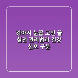 강아지 눈꼽 고민 끝! 실전 관리법과 건강 신호 구분