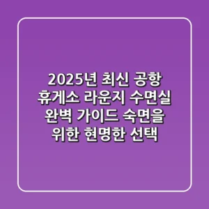 2025년 최신! 공항, 휴게소, 라운지 수면실 완벽 가이드: 숙면을 위한 현명한 선택