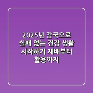 2025년, 감국으로 실패 없는 건강 생활 시작하기: 재배부터 활용까지