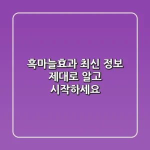 흑마늘효과 최신 정보, 제대로 알고 시작하세요!