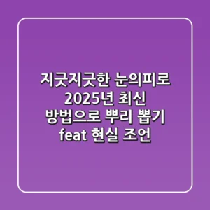 지긋지긋한 눈의피로, 2025년 최신 방법으로 뿌리 뽑기 (feat. 현실 조언)