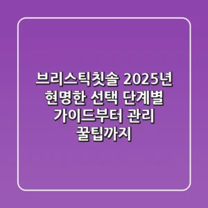 브리스틱칫솔, 2025년 현명한 선택! 단계별 가이드부터 관리 꿀팁까지
