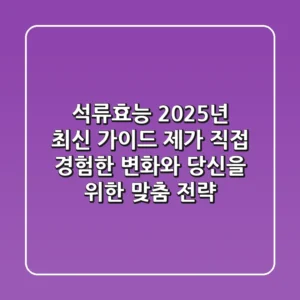 석류효능, 2025년 최신 가이드: 제가 직접 경험한 변화와 당신을 위한 맞춤 전략