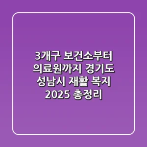 "3개구 보건소부터 의료원까지", 경기도 성남시 재활 복지 2025 총정리