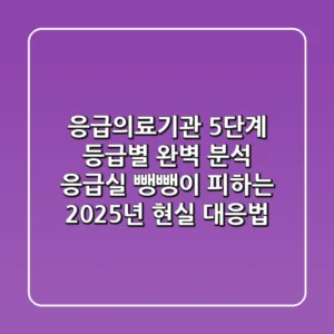 "응급의료기관 5단계 등급별 완벽 분석", 응급실 뺑뺑이 피하는 2025년 현실 대응법