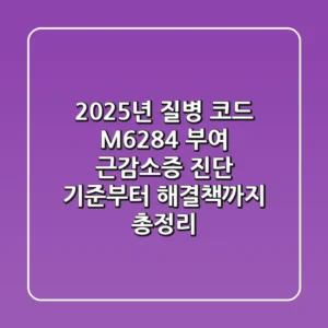 "2025년, 질병 코드 M62.84 부여", 근감소증 진단 기준부터 해결책까지 총정리