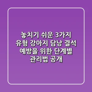 "놓치기 쉬운 3가지 유형", 강아지 담낭 결석 예방을 위한 단계별 관리법 공개