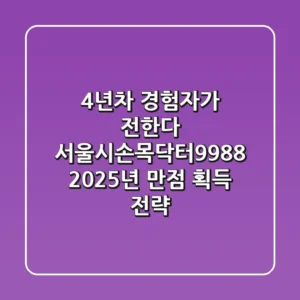 "4년차 경험자가 전한다", 서울시손목닥터9988 2025년 만점 획득 전략
