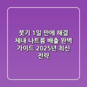 "붓기 1일 만에 해결?", 체내 나트륨 배출 완벽 가이드 2025년 최신 전략