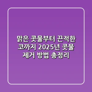 "맑은 콧물부터 끈적한 코까지", 2025년 콧물 제거 방법 총정리