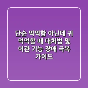 "단순 먹먹함 아닌데?", 귀 먹먹할 때 대처법 및 이관 기능 장애 극복 가이드