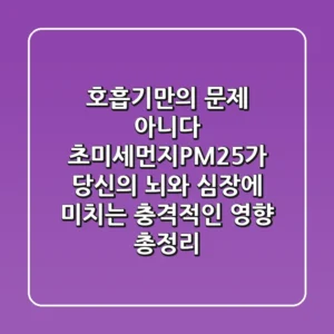 "호흡기만의 문제 아니다", 초미세먼지(PM2.5)가 당신의 뇌와 심장에 미치는 충격적인 영향 총정리