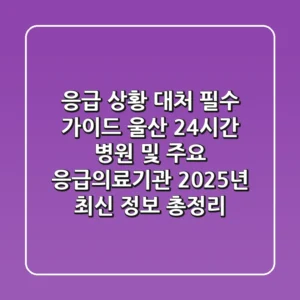 "응급 상황 대처 필수 가이드", 울산 24시간 병원 및 주요 응급의료기관 2025년 최신 정보 총정리