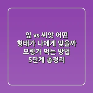 "잎 vs 씨앗, 어떤 형태가 나에게 맞을까?", 모링가 먹는 방법 5단계 총정리